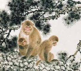 属猴7月30日和8月30日的财运分别如何？