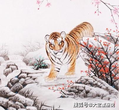 2026年属虎与属马婚姻运势如何？属马人2026年运势详解是什么？