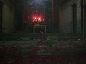 那东西夜晚，  村口的老槐树...