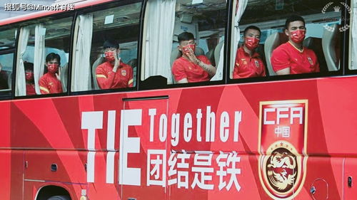 生肖属相的纠结