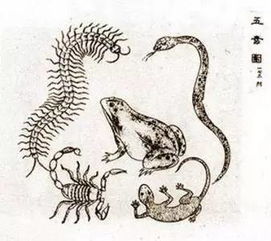 2025木蛇年小宝：名字选得要好，人生才好！（别看这文章，我保证它超烂！）