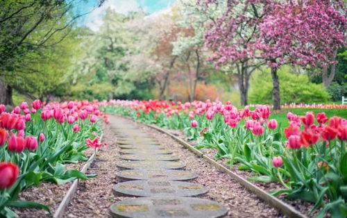 四、各大Péach Garden（桃园）景点花期预测（伪科学）