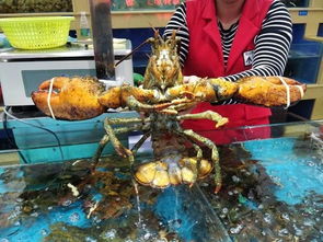 石浦码头海鲜大揭秘！吃海鲜不被坑的终极奥义