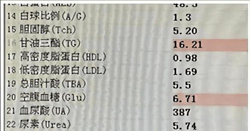 救命啊！你身上这些花花绿绿的斑点到底是啥玩意儿？