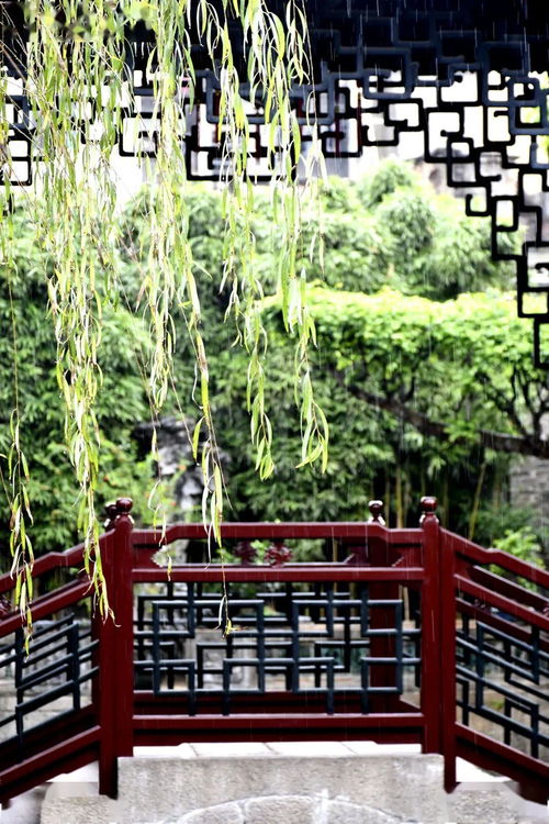 春日里的那一抹心碎的红——余荫山房赏花记