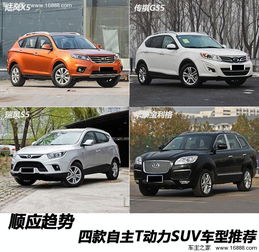 金坛购车风俗：古今交融，爆款购车指南