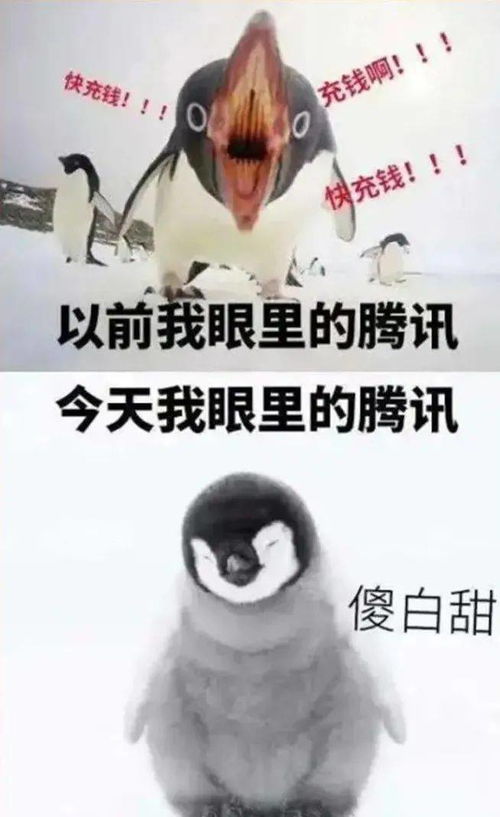 无法说明白的真实相