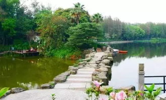 广州白云永泰公园：一个被遗忘的角落，藏着2026年的秘密