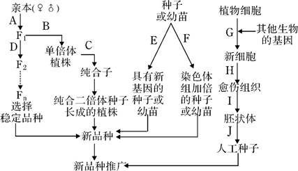DNA探究—现代化遗传因素学怎样证实这一些古老传说？
