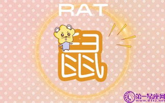 哪个生肖的人心思细腻，更能发挥自己的天赋？