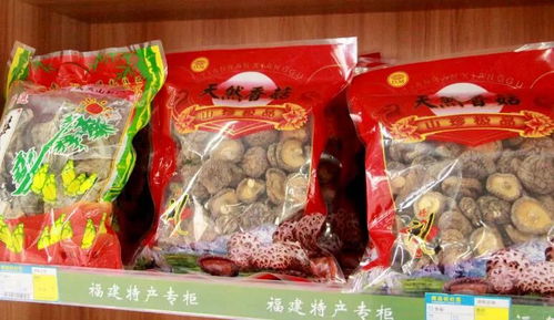 皮毛玩具：毛茸茸的甜蜜诱惑