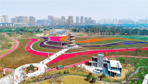 青年创意田园：年轻人的新天地