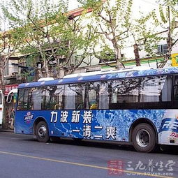 深入腹地：寻找真正的宁静与喧嚣并存