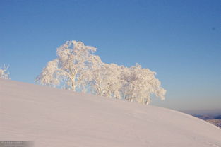 4.1 避免较深陷较深雪坑的方法：