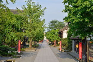 交通：一场关于公交车的奇幻漂流