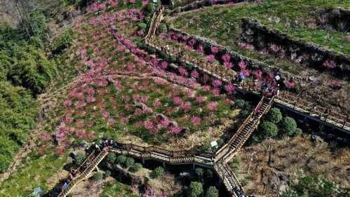 历史与自然的交融：安康汉江畔的独特魅力