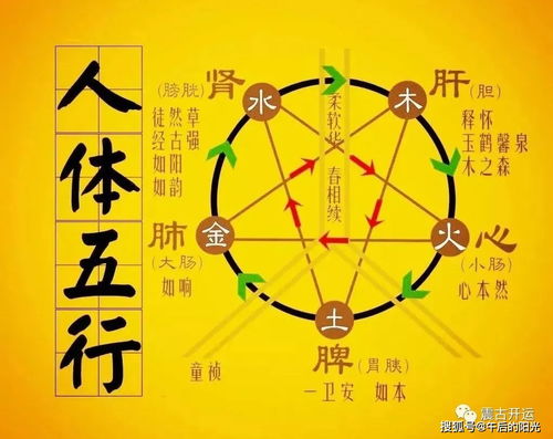 时辰命运大乱斗