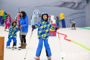 雪道之旅：从初级到专业