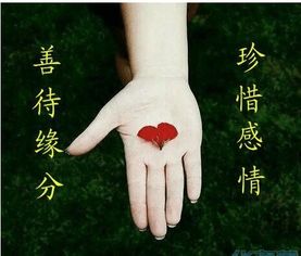 女命八字中哪些特征会导致感情多波折，婚姻生活不顺畅呢？