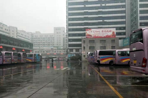 郑州中心站到沙窝李旅游专线具体怎么走？一场让人头秃的交通大冒险