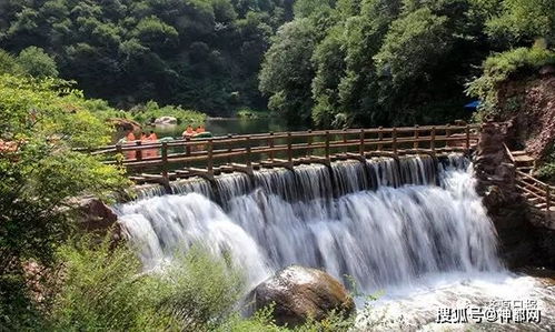 哎呀，这真的是太美了我的天哪！