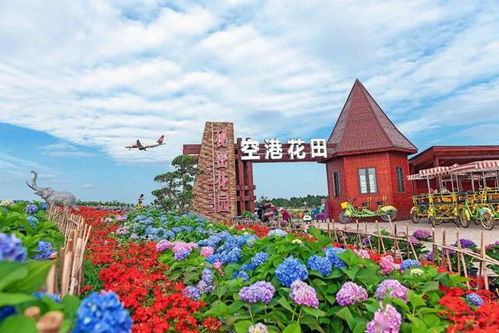 不仅仅是堪花花，还要吃香喝辣
