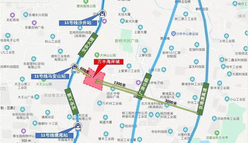 万丰湖：情元素？我看是缺心眼！