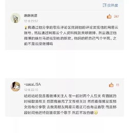 狮子之光