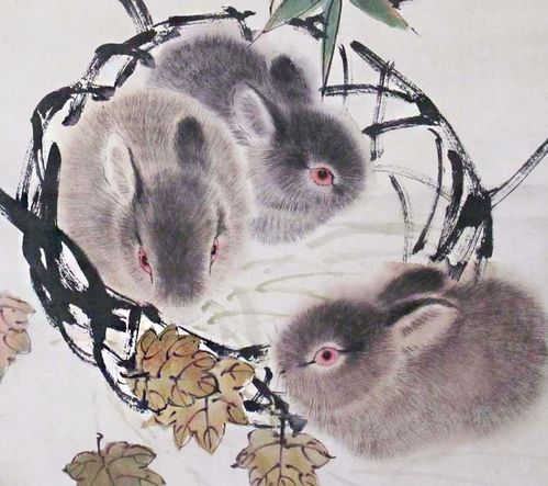 兔兔不是好欺负的！