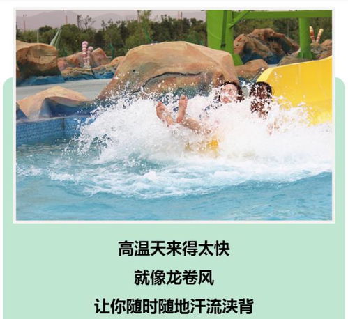 十二生肖:谁特么敢真实玩