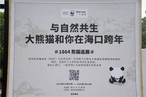 前言——名字这玩意儿， 别想太严肃，先喝口水再说
