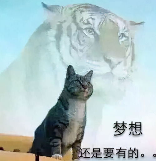 将半明半暗的生肖为长尾，会是怎样的生肖呢？