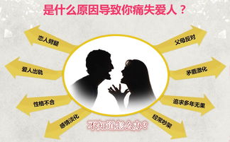 2026年最新生肖五行对照表（赶紧收藏）
