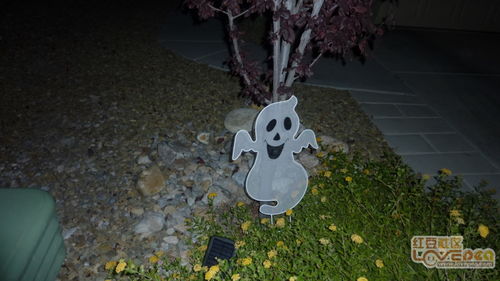 夜深人静时那童声回荡，鬼影幢幢，这是不是传说中的神秘景象呢？