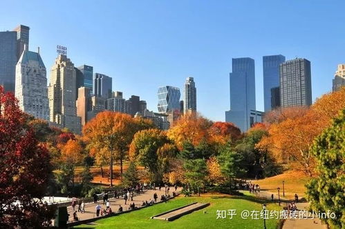 烟台山的前世今生：一个美丽的谎言