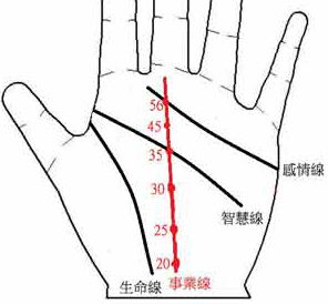 2.3 被杂纹切断的事业线：阻碍重重还是机遇潜藏？