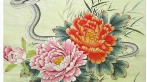 属蛇的沙中土命炸裂分析