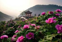 垫江DIANJIANG COUNTY：旅游攻略的终极奥义！