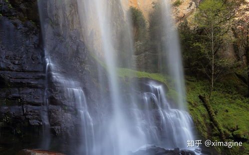 走进山间小道