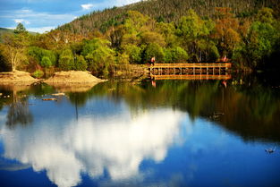 预订玄学：早鸟票可能比临时买还贵