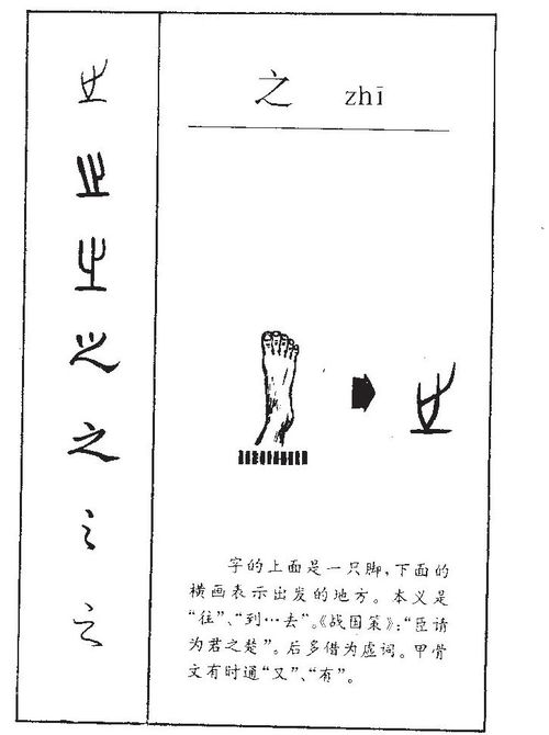 1. 先上干货：五行属金的顶级字较大全（附阐述+寓意）