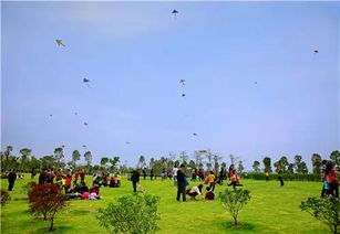 周末遛娃圣地？还是带娃受罪现场？