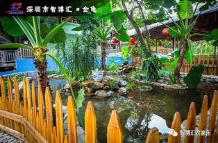 亲近自然：在绿意盎然的山野中放松身心