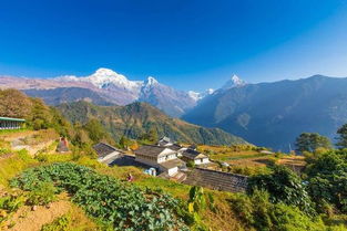 八甲大山：徒步爱好者的天堂or地狱？