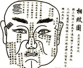 女命丙午与己酉相合吗？婚姻关系会怎样？