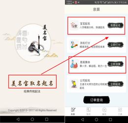 二、 从八字到名字：拼凑出来的“较大戏”