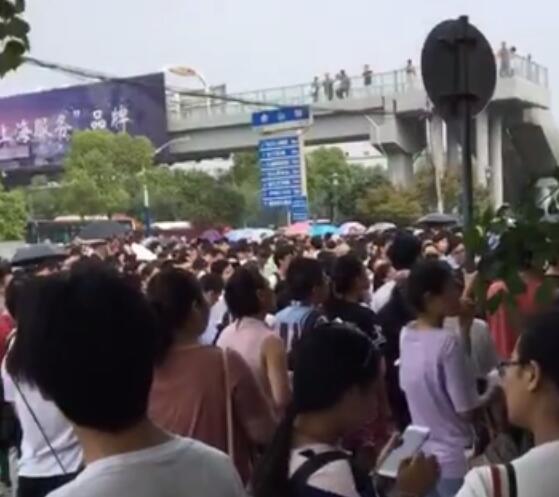 惯与鸽子：