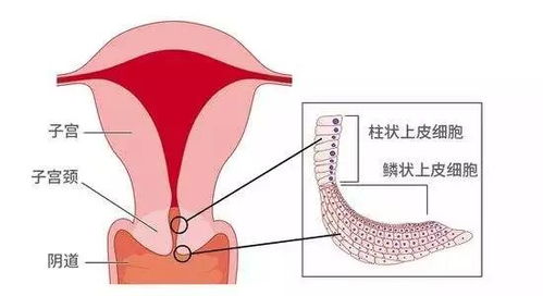 --- 这里再补一句：别把自己逼成完美的较小剧本， 不然一旦出现副作用，你会感到前所未有的无助 —— 别忘了给自己留一点喘息空间范围 😓😢 ---