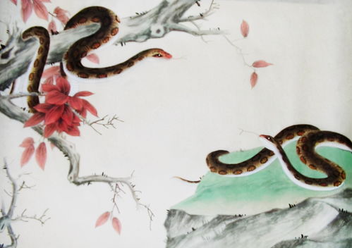 属蛇属龙装修房子选什么颜色能体现他们的性格特点？