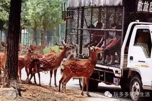 吃喝玩乐全攻略——怎么把胃也填满？